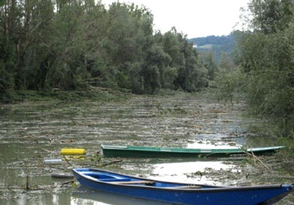 Der Donau-Altarm in Feldkirchen