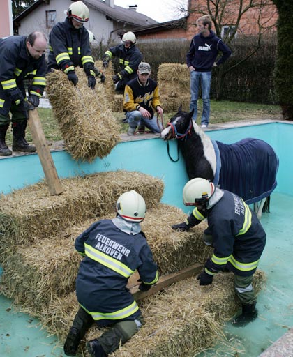Aus Strohballen wurde eine Treppe für das Pferd gebaut