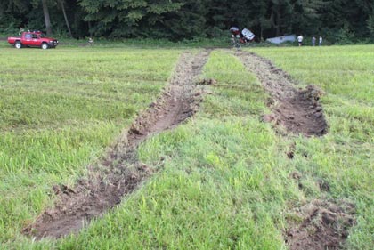 Spuren in der Wiese